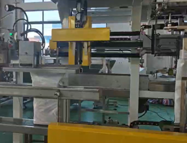 Kualitas  Dual-Lane Salt Packaging Machine Line - High-Capacity Salt Packaging Solution pabrik